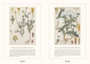 Атлас или энциклопедия растений России с красивыми ботаническими иллюстрациями