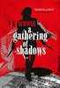 V. E. Schwab - A Gathering of Shadows