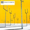 Muse - Origin Of Symmetry (винил)