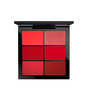 mac pro lip palette/6 editorial reds