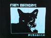 American Apparel Classic Girl Black Cat Many Birthdays Japanese Graphic T-Shirt