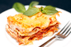 Lasagne S