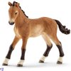 Tennessee Walker foals