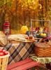 Осенний Пикник с сыром и красным вином (глинтвейном)