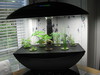 Aerogarden