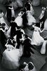 Debutante at the Vienna Ball