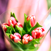 тюльпаны на 8 марта