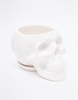 Skull plant pot