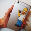 Homer case