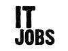 Job in IT company