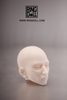 RingDoll - RGM29/K head (normal skin)