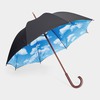 Интересный зонт
