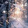 гулять по  заснеженной красоте