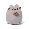 Кот Pusheen с печеньем или с мороженым