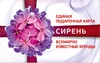 Подарочный сертификат "Сирень"