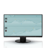 Eizo FlexScan EV2450