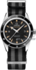 Omega Seamaster 300 Spectre