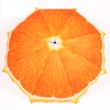 Fresh Fruit Orange Umbrella