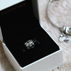 pandora family charm