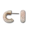 Swarovski Earrings Gold Strass