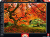 Пазл "Осень в японском саду", 1500 деталей, Educa