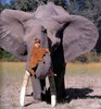 Hug the elephant