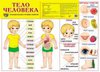 Демонстрационный плакат "Тело человека"
