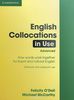 English Collocations in Use: Advanced