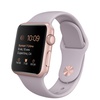 Apple Watch Sport - Корпус 38мм изалюминия цвета розовоезолото, сиреневый спортивный ремешок - Apple (RU)