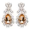 Miu Miu earrings