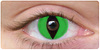 Crazy Cat eye green