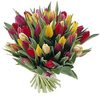 букет разноцветных тюльпанов