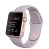 Смарт Часы Apple Watch Sport 38mm Rose Gold Aluminum Case with Sport Band Lavander