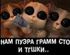Много молочного Пуэра