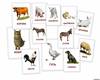 Карточки с животными