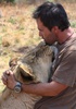 hug a lion