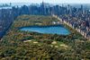 бегать по утрам в Central Park