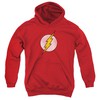 Flash hoodie