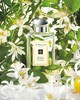 Парфюм от Jo Malone "Orange Blossom"