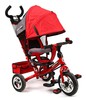 Детский велосипед Lexx Trike Safari Trike