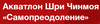 Орг взнос Акватлон Шри Чинмоя «Самопреодоление» (25.06.2016)