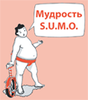 SUMO  Заткнись и делай