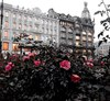 saint petersburg