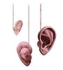 Extendable Ear