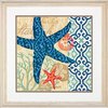 Starfish - Needlepoint Kit Dimensions 71-20075