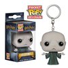 Voldemort Key Chain