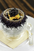 Sea Urchin