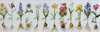 Набор для вышивания Thea  Gouverneur "Bulbs" (Луковичные цветы/Гербарий)