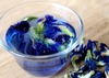 Butterfly pea