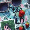 Free and wild smashbook
